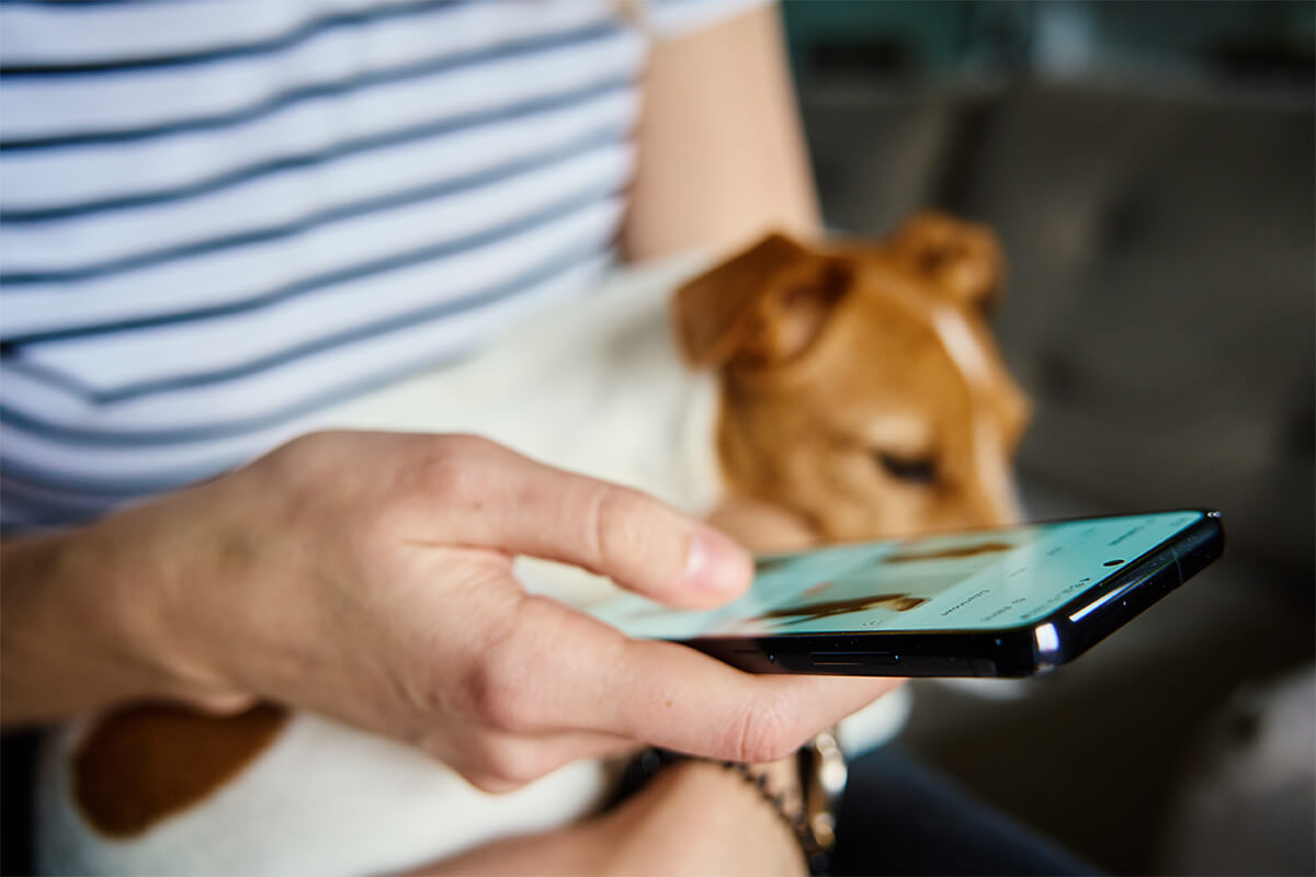 Petshop Sektörünün E Ticaretteki Yeri Ve Potansiyeli