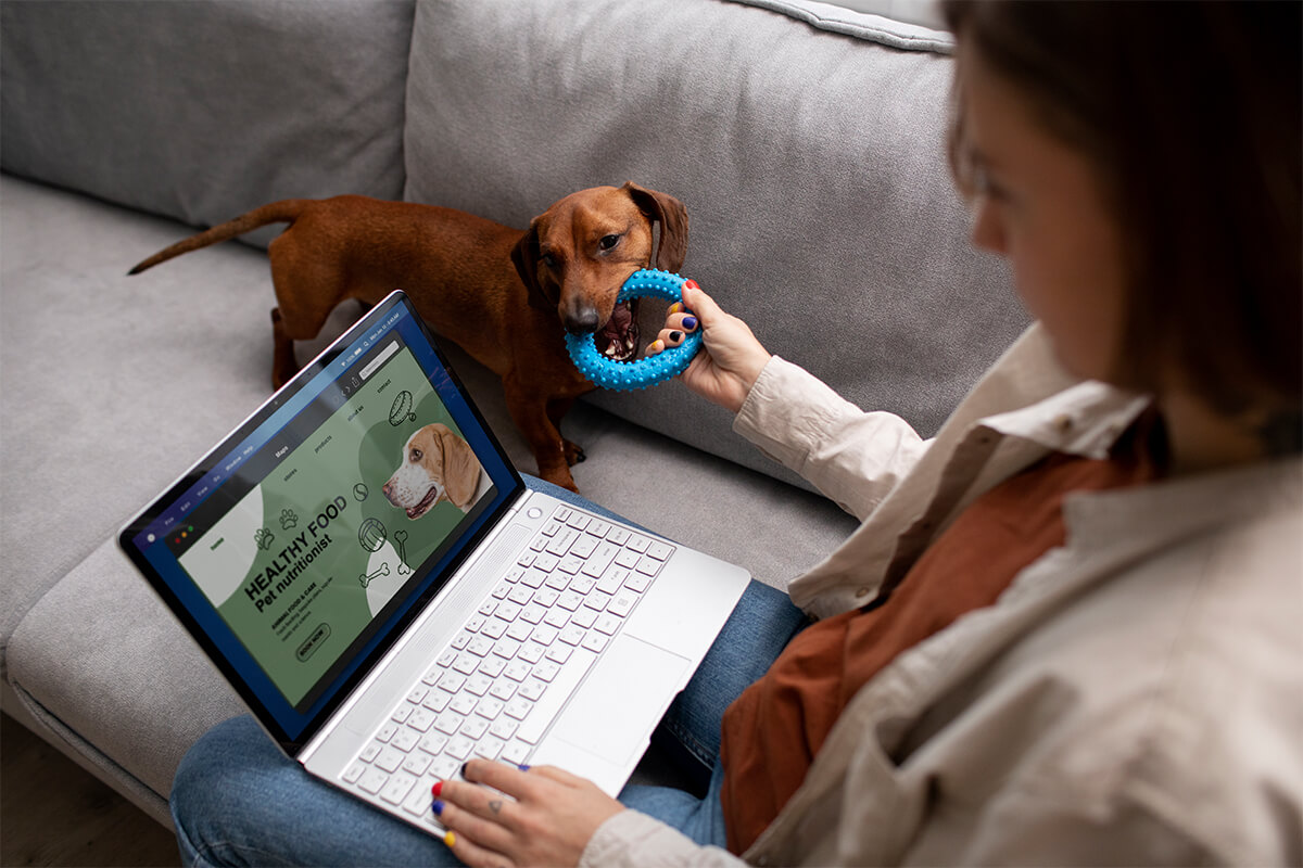 Petshop Ürünleri Satabilceğiniz Plartforma Karar Verin